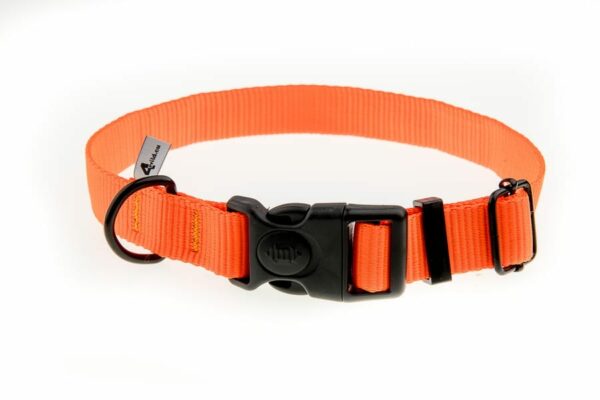 8bf84b99eb4377e5abbd067fd6436f0a Obroża z taśmy 25 mm neonowa pomarańcza 37-57 cm