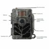 sudecka_ostoja-fotopulapka-zeiss-Secacam-5-2 Fotopułapka Zeiss Secacam 5