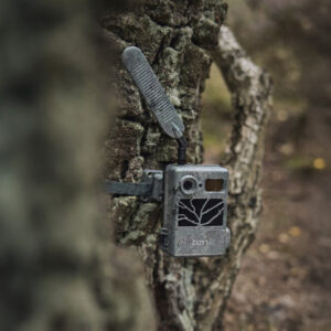 sudecka-ostoja-zeiss-secacam-3-1 Fotopułapka Zeiss Secacam 3